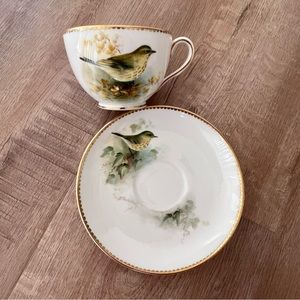 RARE SIGNED Vintage Royal‎ Worcester Hand painted “Thrush” TeaCup & Saucer